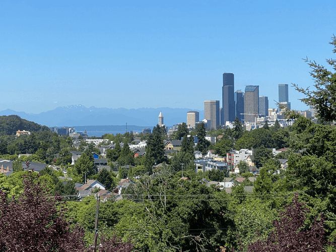 Mt Baker Ridge Viewpoint