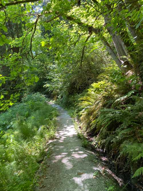 Frink Park Trail