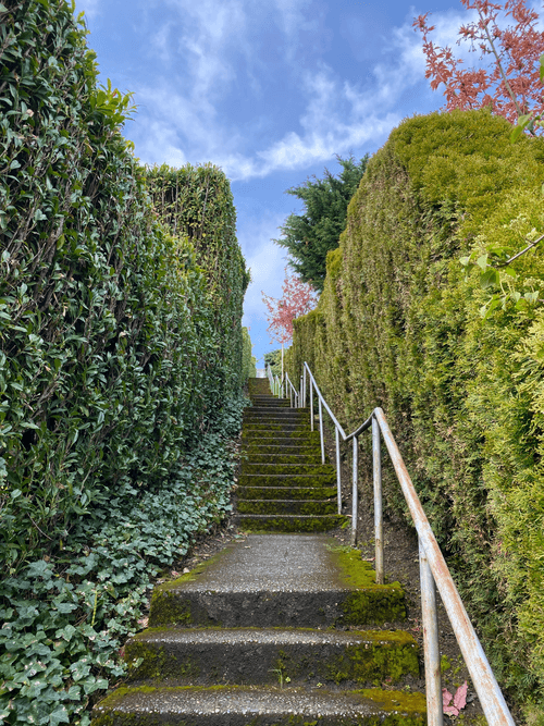 Looking up the staircase towards 50th Ave NE