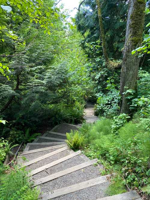 Madrona Park Trail