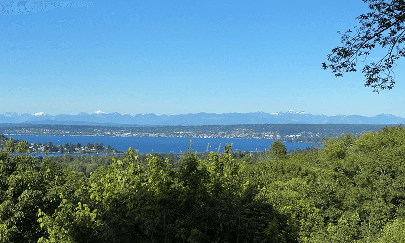 Looking East from the Louisa Boren Lookout